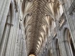 IMG_0423