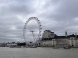 IMG_0689