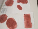 IMG_20240130_133805
