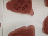IMG_20240130_133829