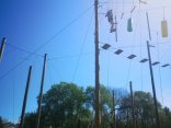 IMG_20240409_111425