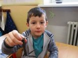IMG_7955