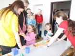 IMG_9115