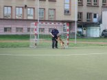 IMG_2329