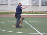 IMG_2331