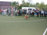 IMG_2332