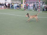 IMG_2333