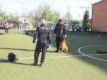 IMG_4818