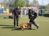 IMG_4872