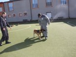 IMG_4882