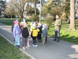 IMG_4611
