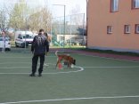 IMG_4658