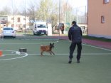 IMG_4661