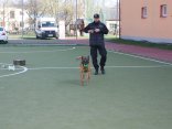 IMG_4665