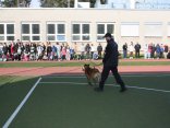IMG_4668