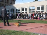 IMG_4671