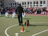 IMG_4736