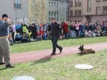 IMG_4757