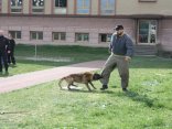 IMG_4768