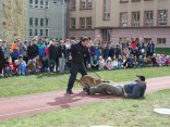 IMG_4773
