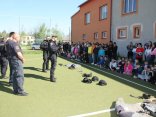 IMG_9115