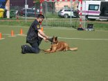 IMG_9166