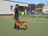 IMG_9168