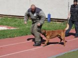 IMG_9186