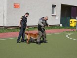 IMG_9197