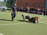 IMG_9205