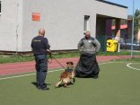 IMG_9224
