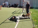 IMG_9235