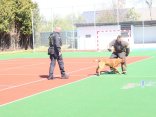 IMG_7712