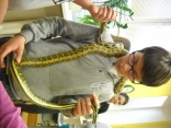 DSCN1883