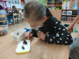 IMG_20210415_130345