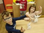 IMG_20221205_144332