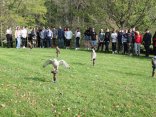 IMG_1895