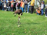 IMG_1914