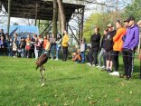 IMG_1917