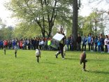 IMG_1919