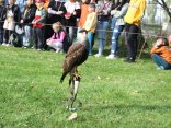 IMG_1923