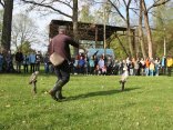 IMG_1939