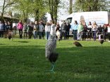 IMG_1943