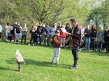 IMG_1963