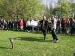 IMG_1967