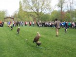 IMG_1976