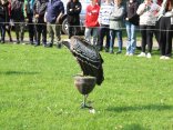 IMG_1979