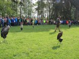 IMG_1982