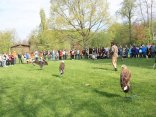 IMG_1985