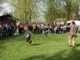 IMG_1993
